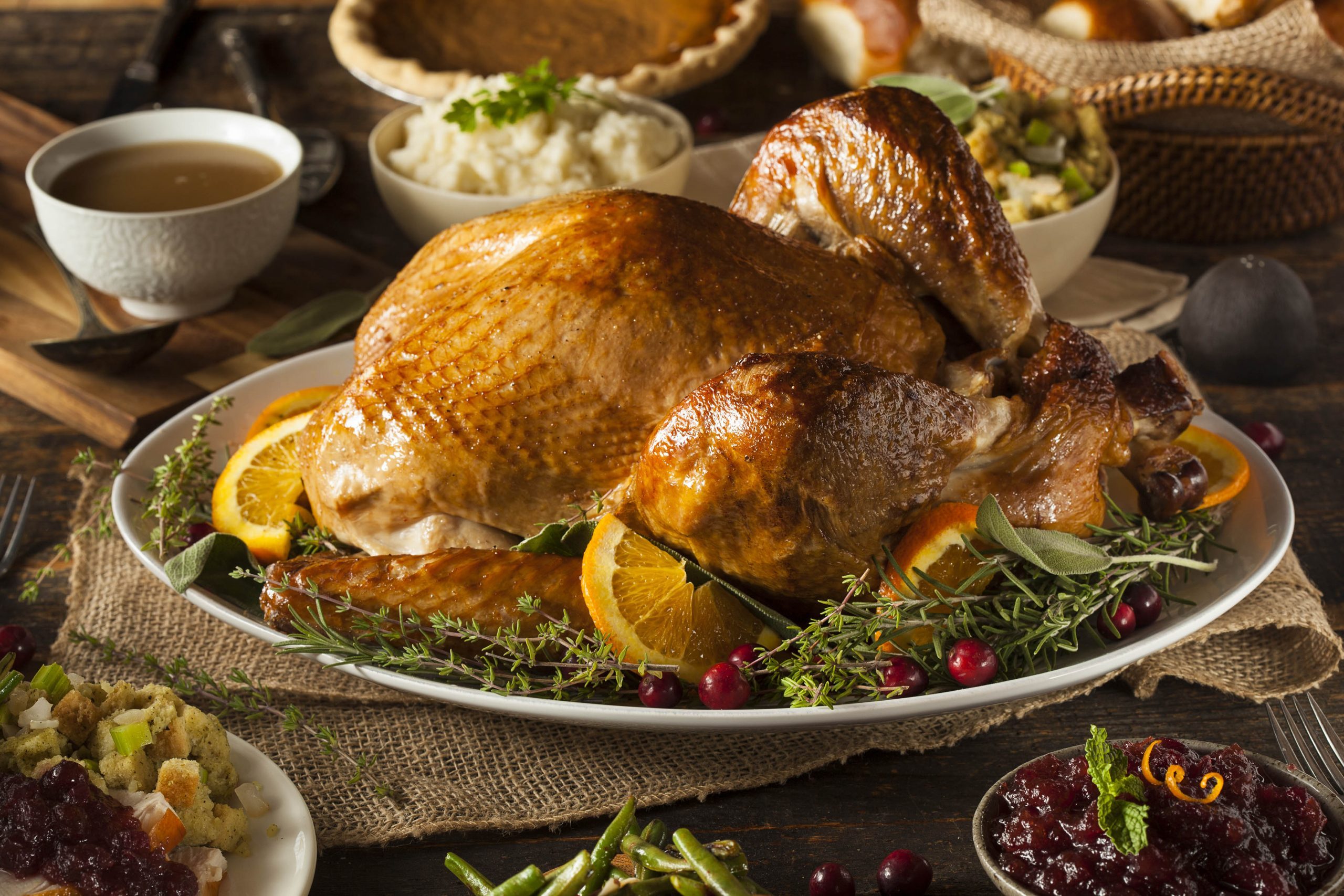 5 Thanksgiving Foods That Are Toxic For Pets