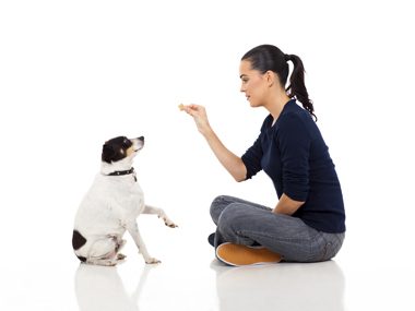 Dog training tips #20: 
