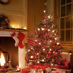 6 Tips to Keep Your Christmas Tree Fresh