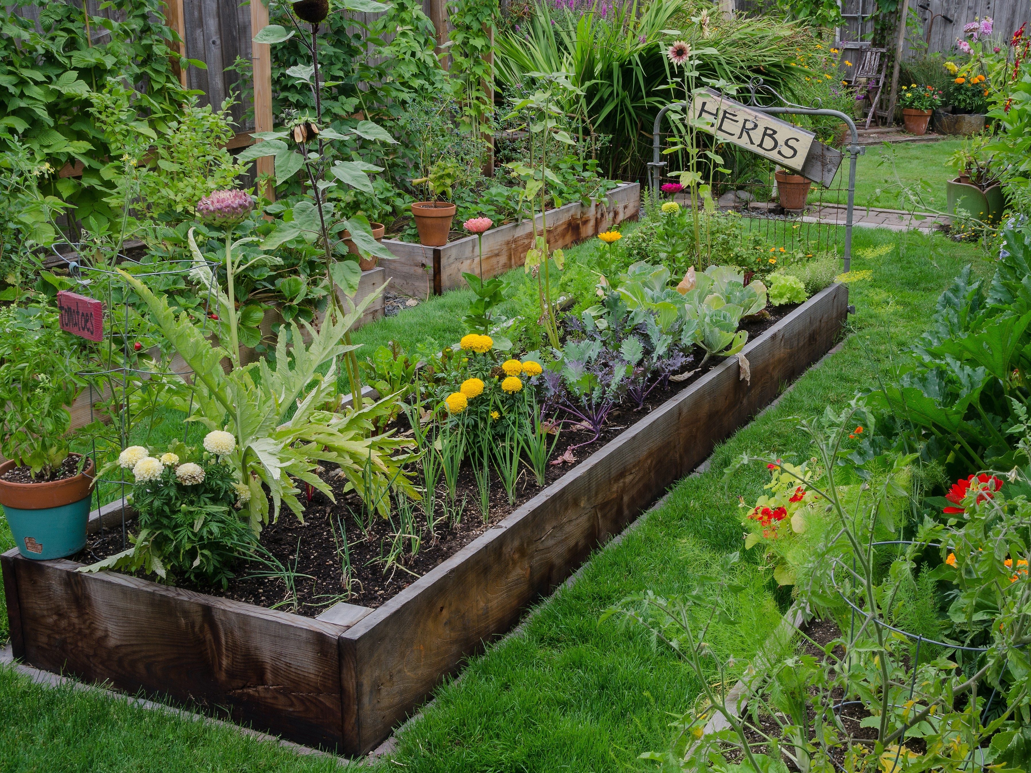 Build Raised Beds To Make Gardening Easy On Your Back 