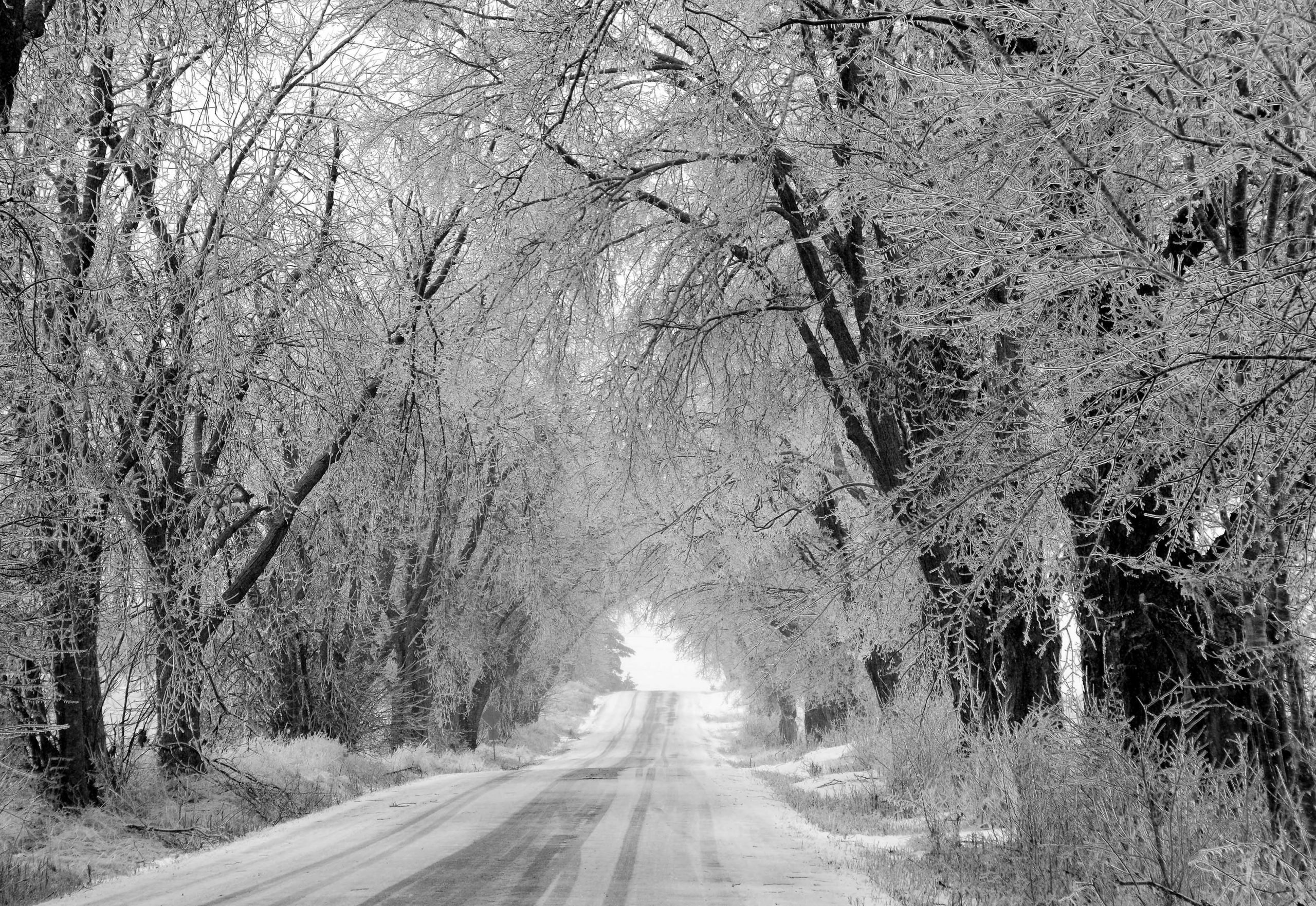 The Best Black and White Photography Across Canada | Our Canada