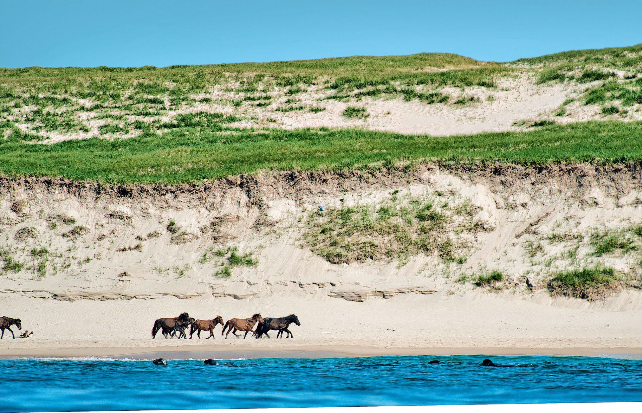 Sable Island Canada