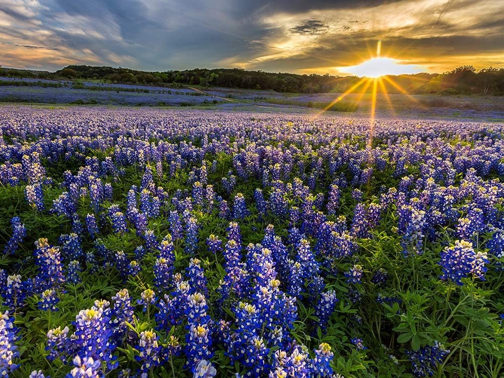 6 of the Most Gorgeous Spring Destinations in the U.S.