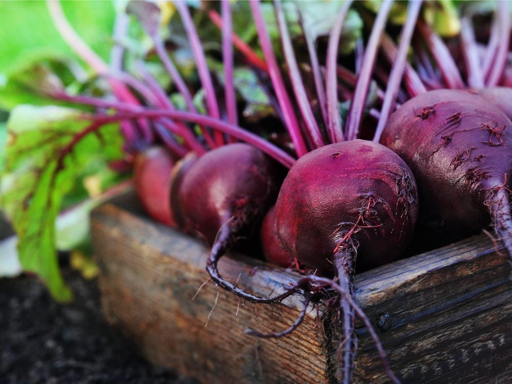 6 Health Benefits Of Beets And 3 Surprising Risks Reader S Digest