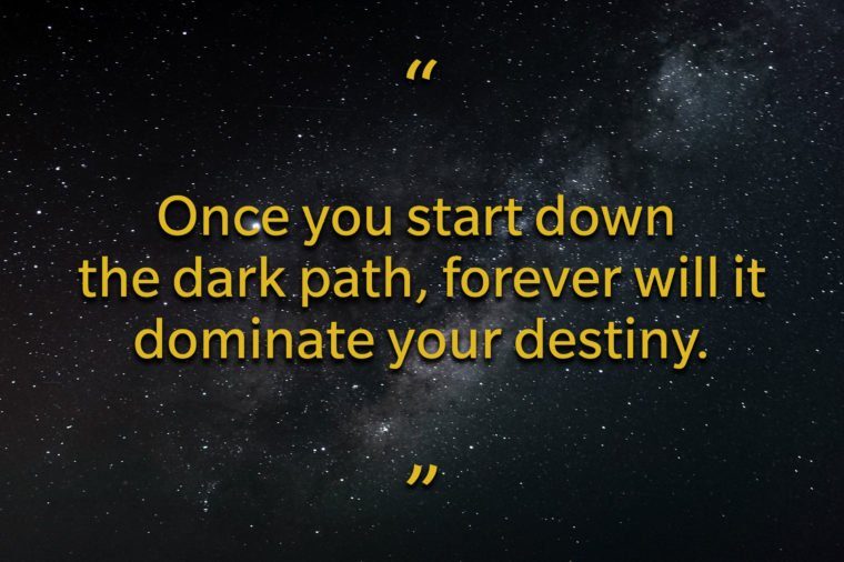 Top 15 Inspirational Quotes From Qui Gon Jinn To Blow Your Mind
