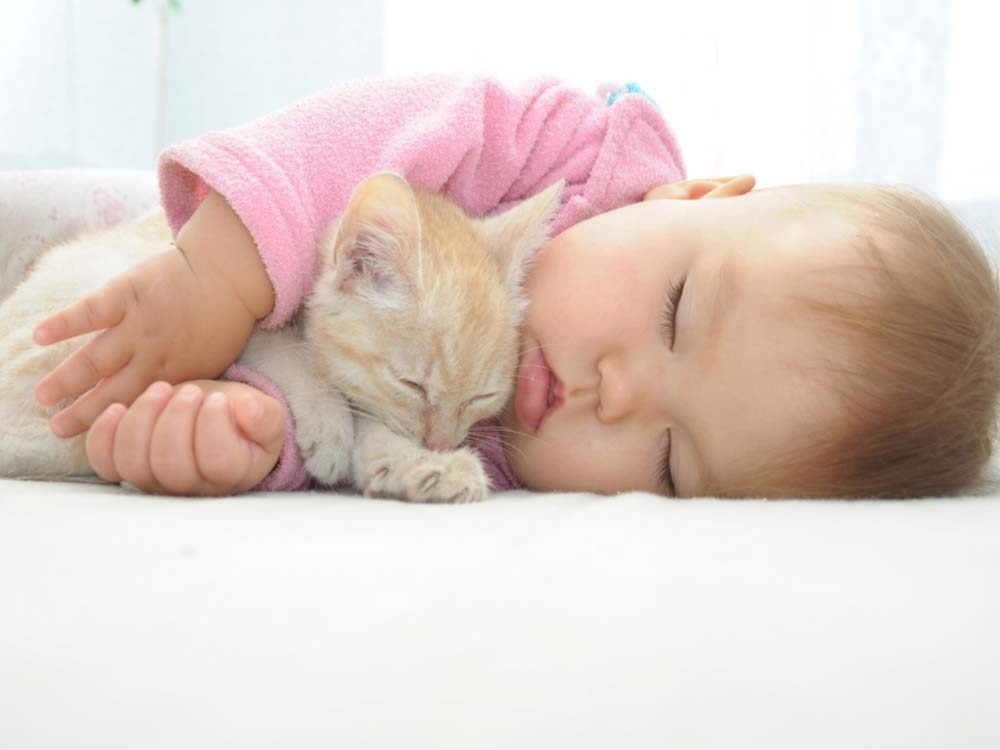 Cats are sometimes a threat to young children