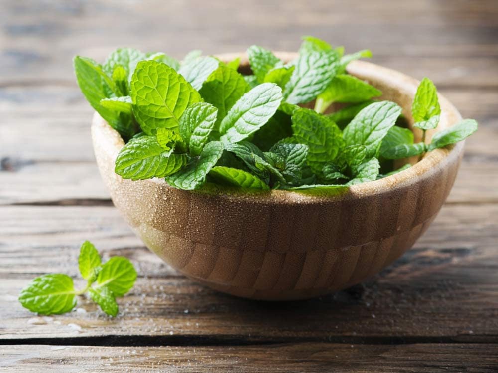 Peppermint in wooden bowl