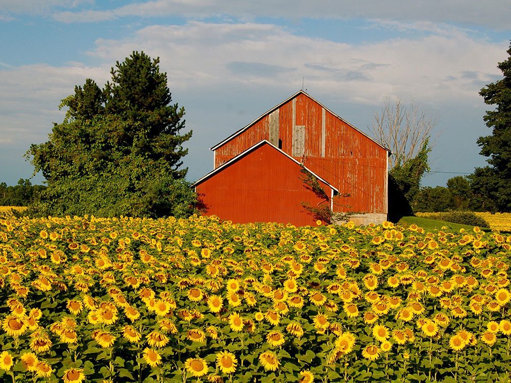 Beautiful Barn Pictures From Across the Country | Our Canada