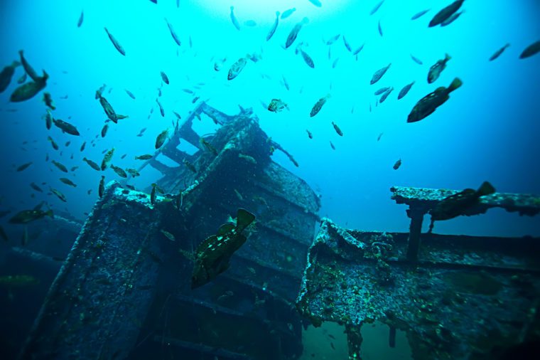 creepy things at the bottom of the ocean