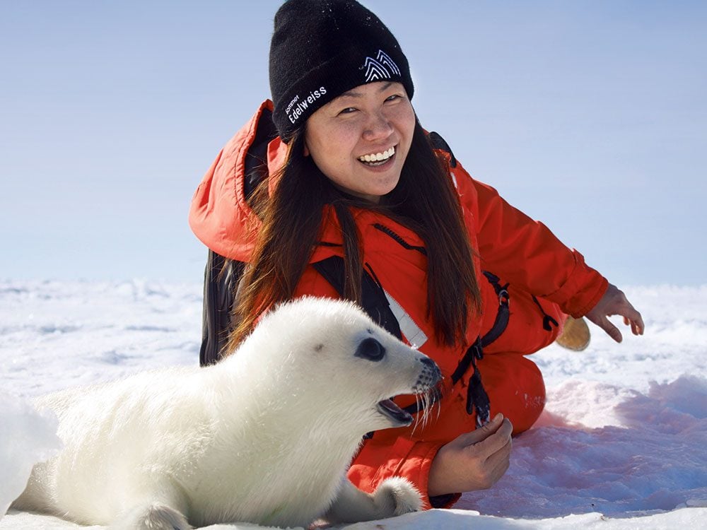 Harp Seal Watching in the Magdalen Islands | Our Canada