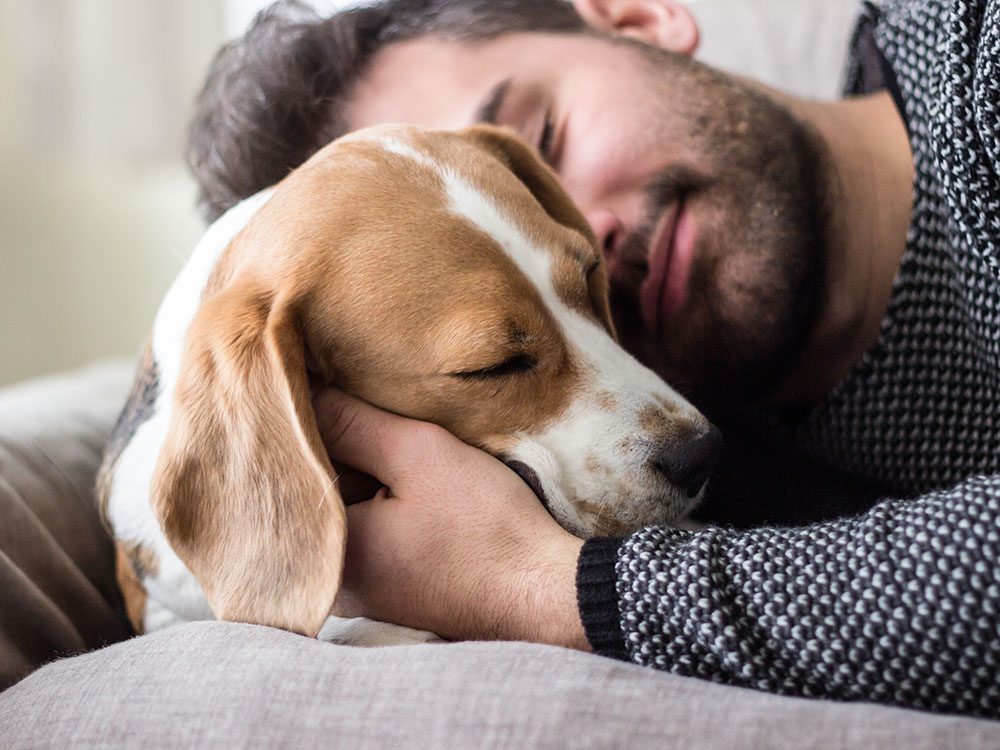 Does My Dog Love Me A Dog Psychology Researcher Weighs In