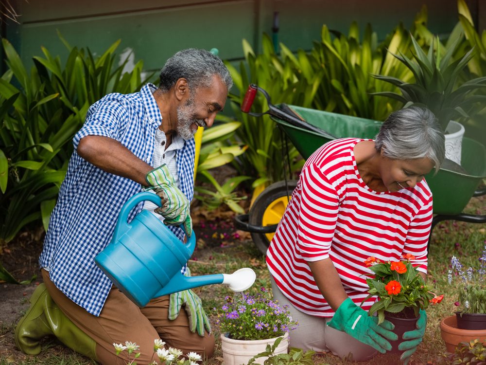 Senior citizens maintaining their backyard garden