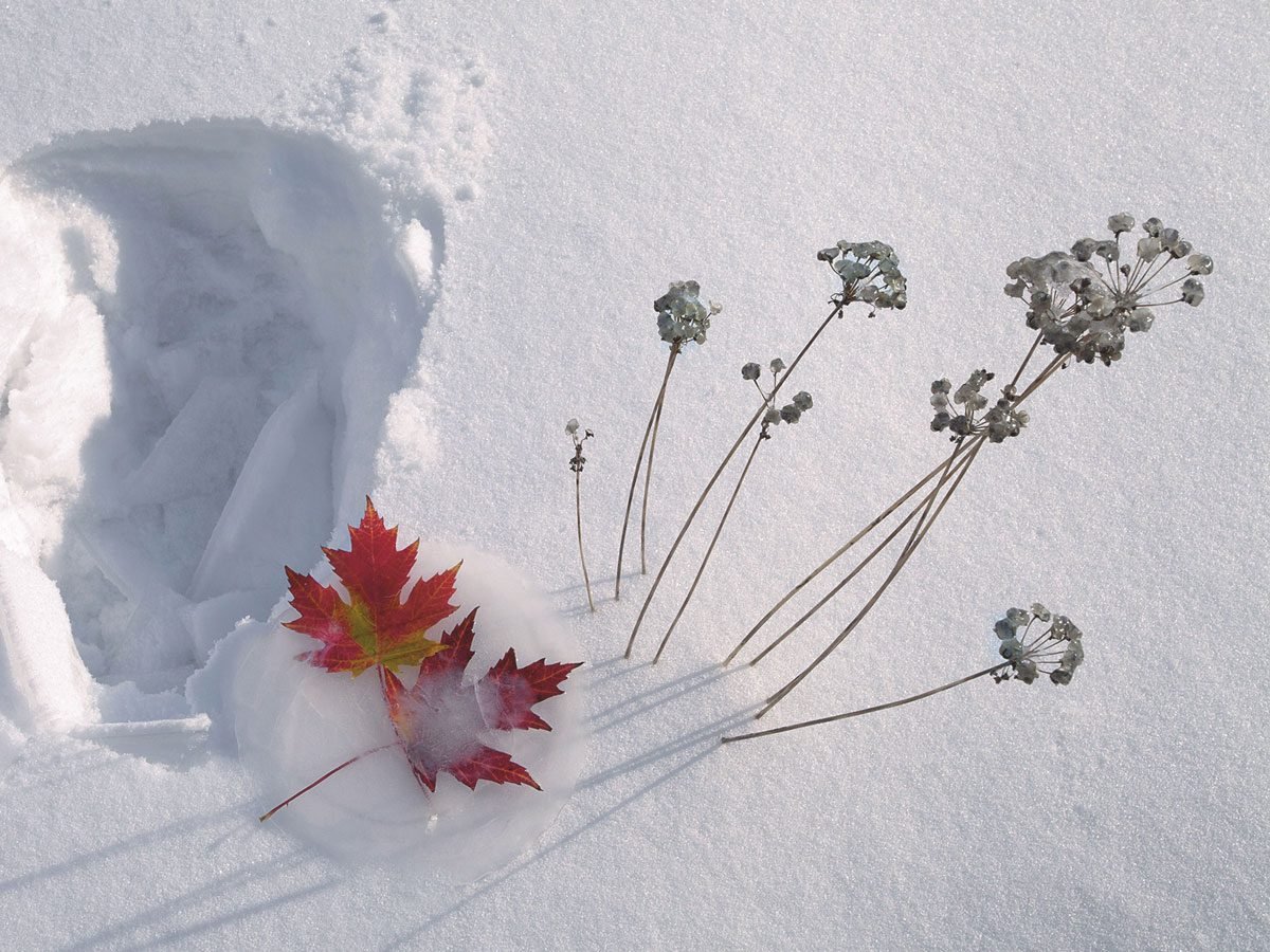 Winter Scenes in Canada: A Gorgeous Photo Gallery | Our Canada