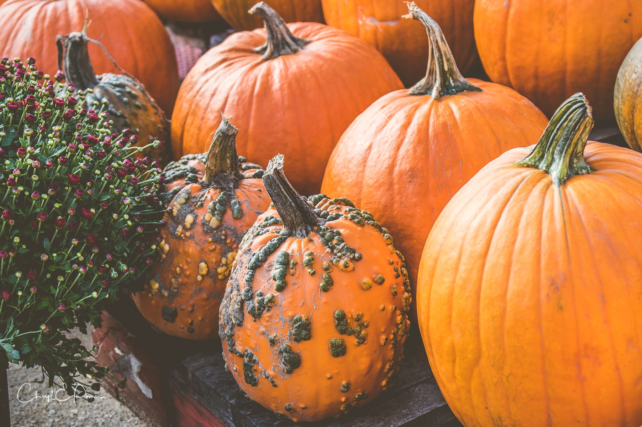 This is What Halloween in Canada Looks Like Our Canada