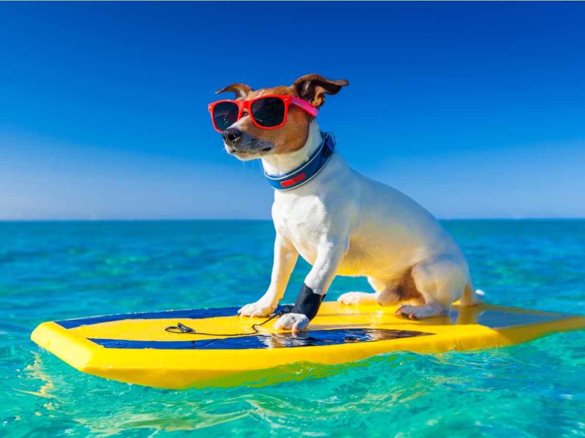 Beach Puns That Are Shore to Make You Laugh | Reader's Digest