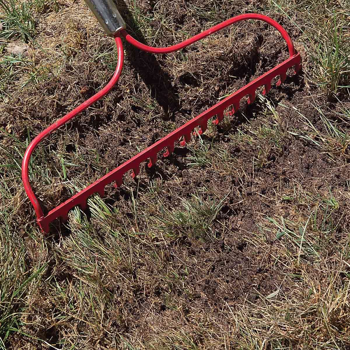 How to Get Rid of Crabgrass: A Step-by-Step Guide | Reader's Digest