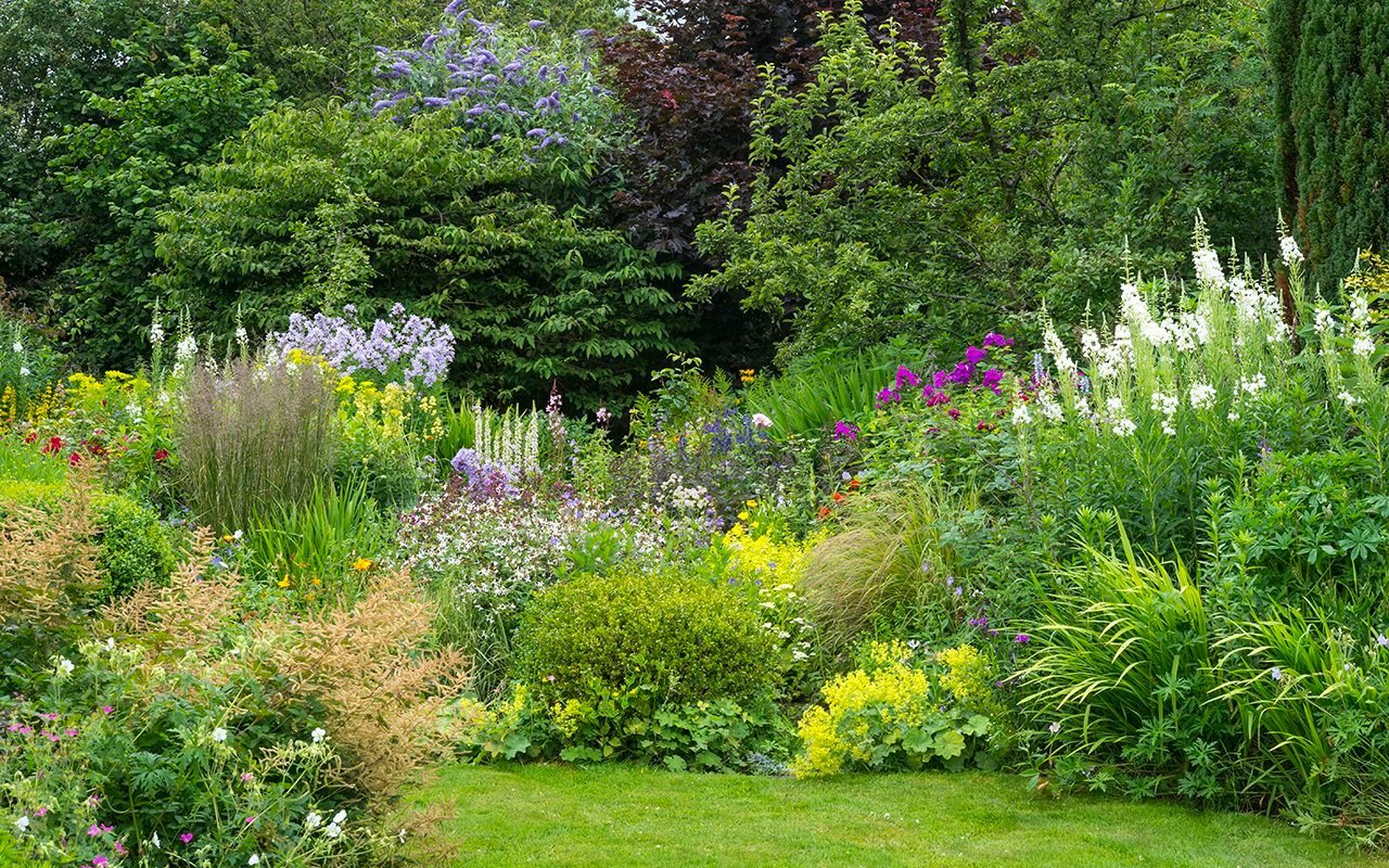 7 Mistakes You Might Be Making with Your Perennial Plants