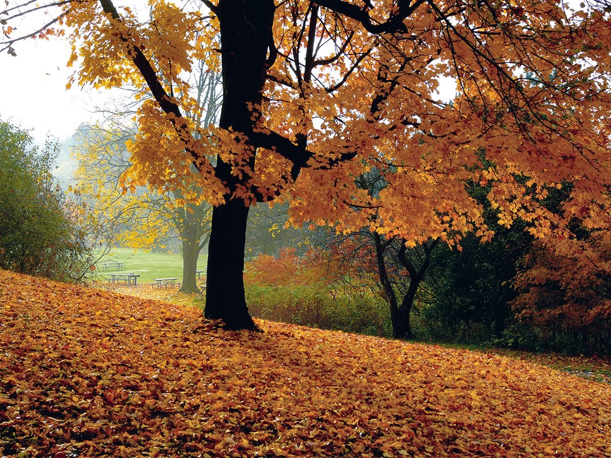 Fall Pictures Across Canada From Coast To Coast 