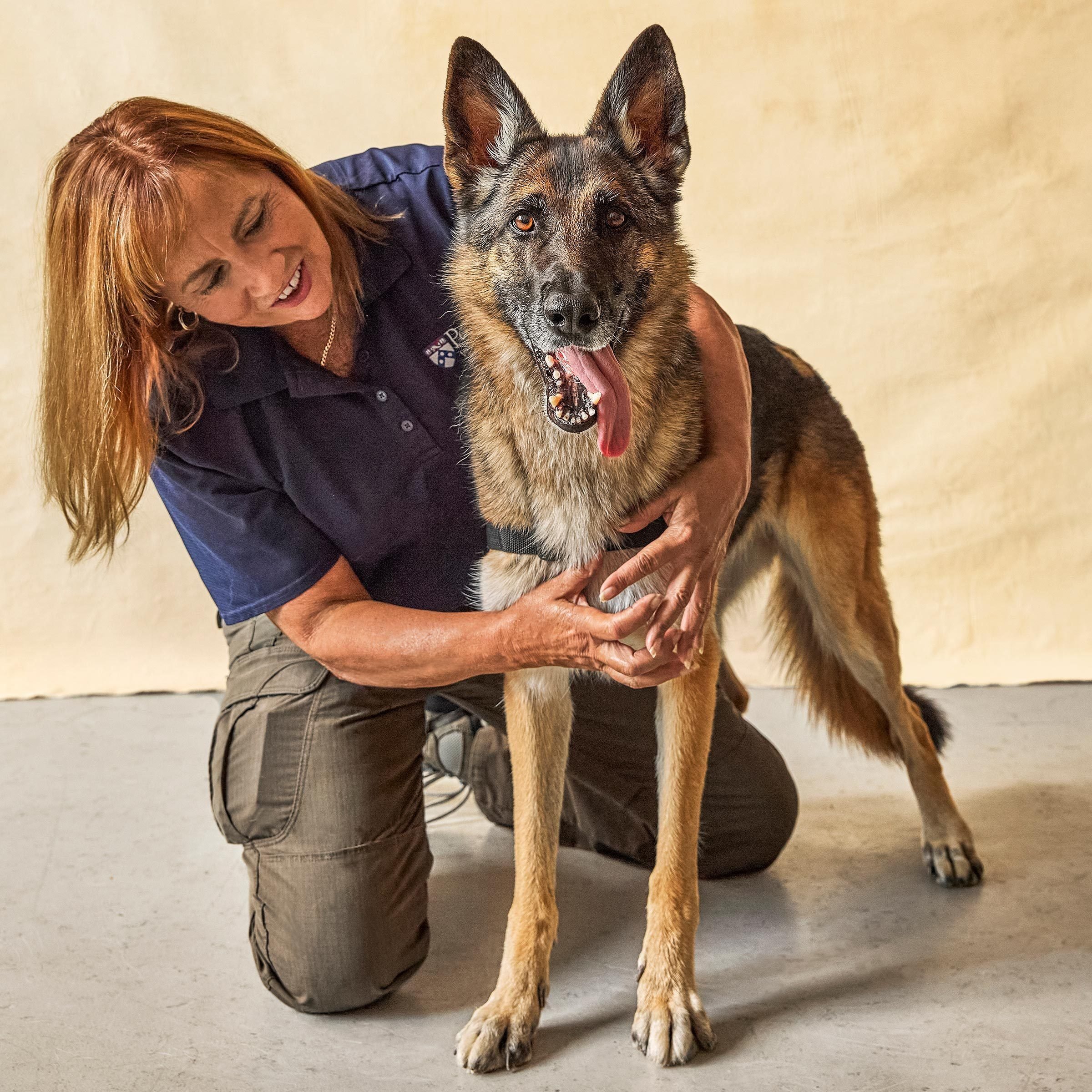 What Kind Of Dogs Can Sniff Out Cancer