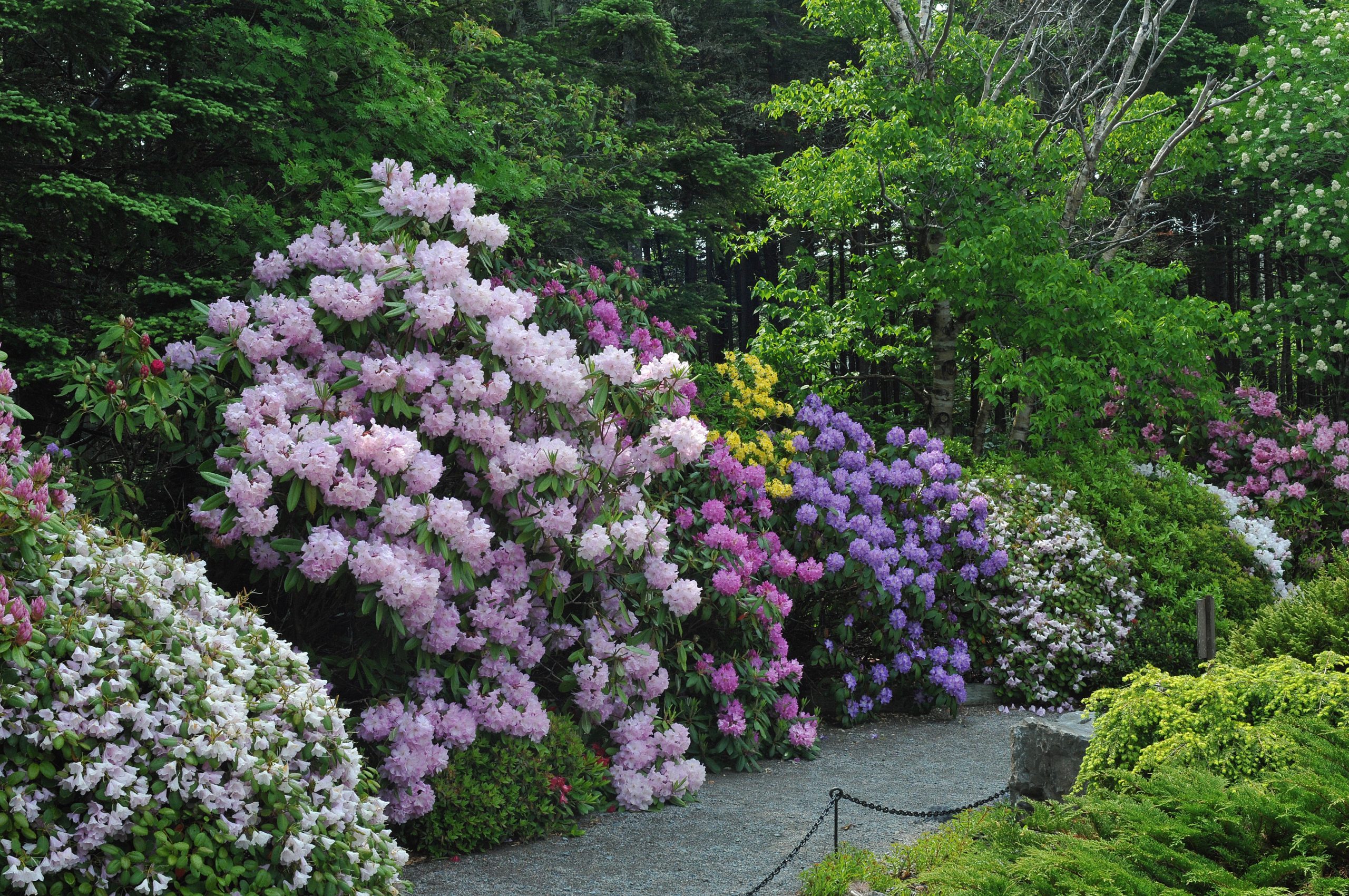10 Must-See Botanical Gardens Across Canada | Reader's Digest Canada