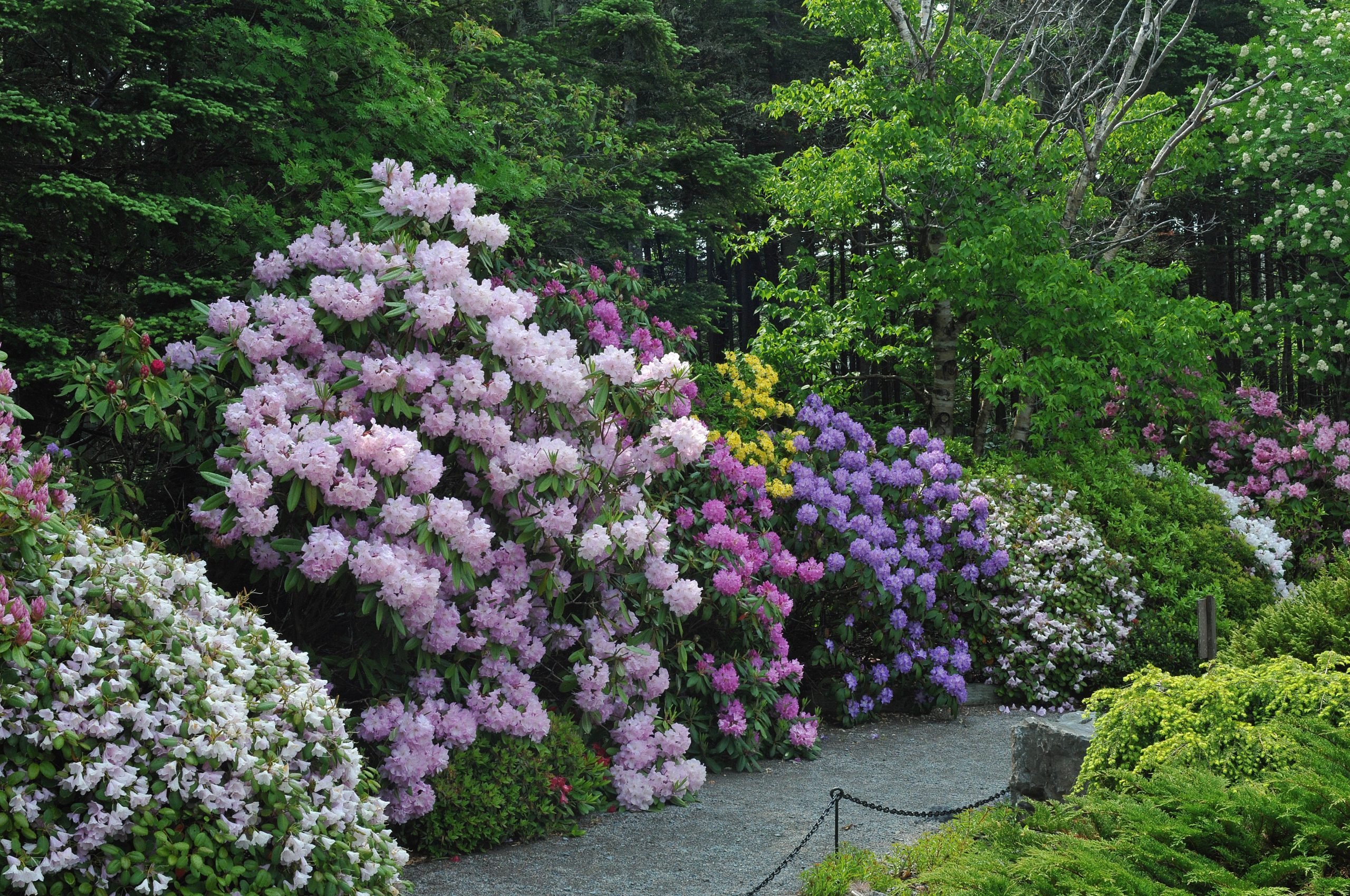 Canada's 10 Most Beautiful Botanical Gardens | Reader's Digest Canada