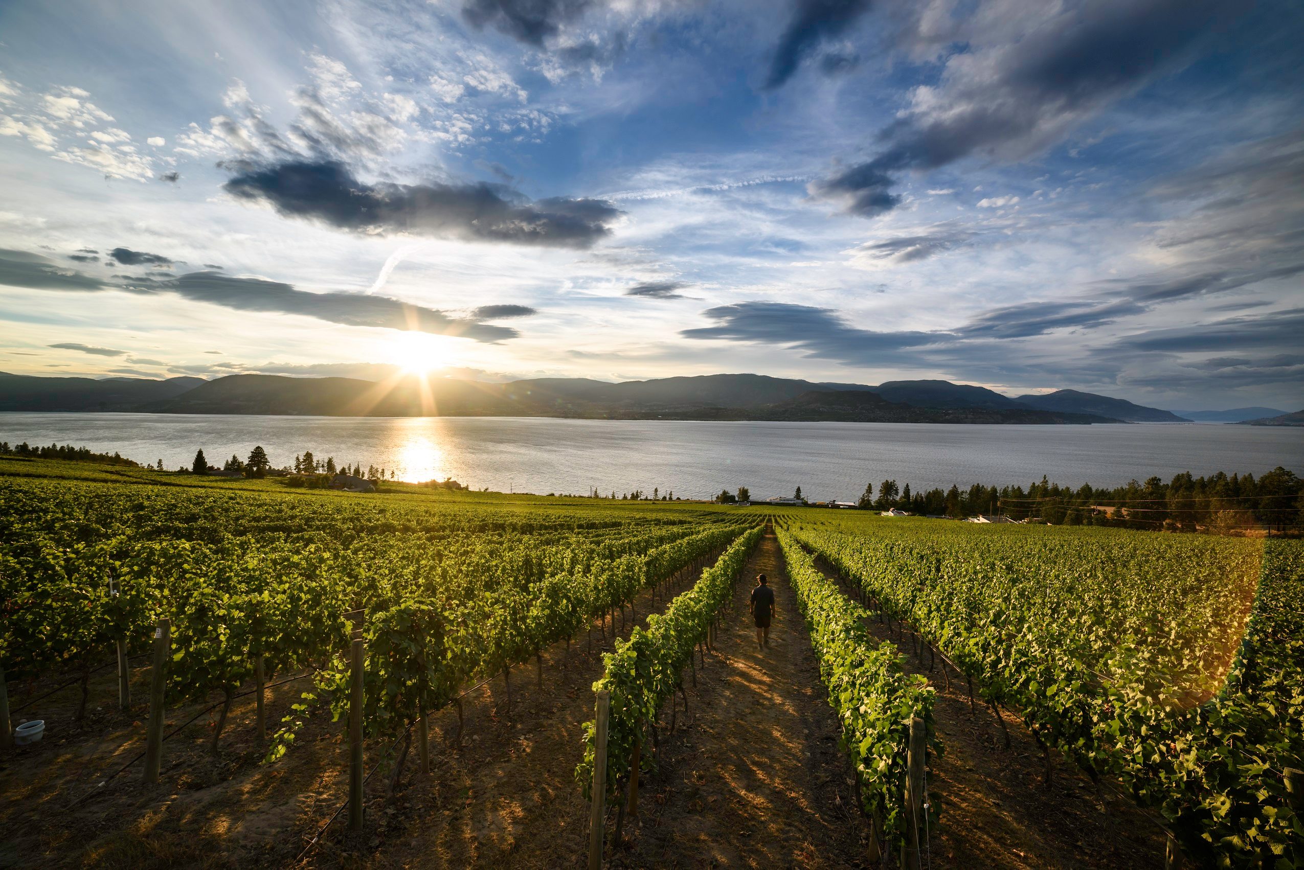 The Best Sunset Lookouts Across Canada | Reader's Digest Canada