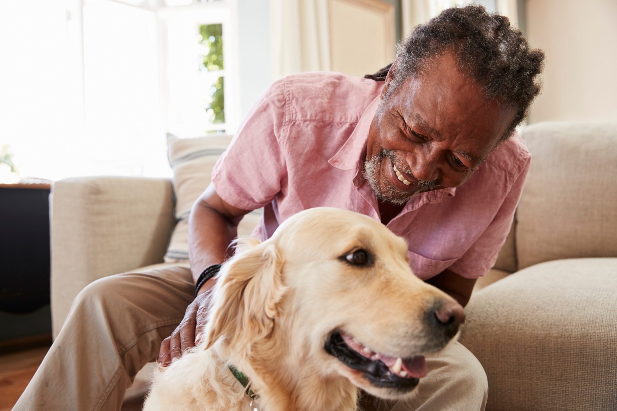 The Perfect Companion For Seniors: Choosing The Best Dog Breed For Your Golden Years