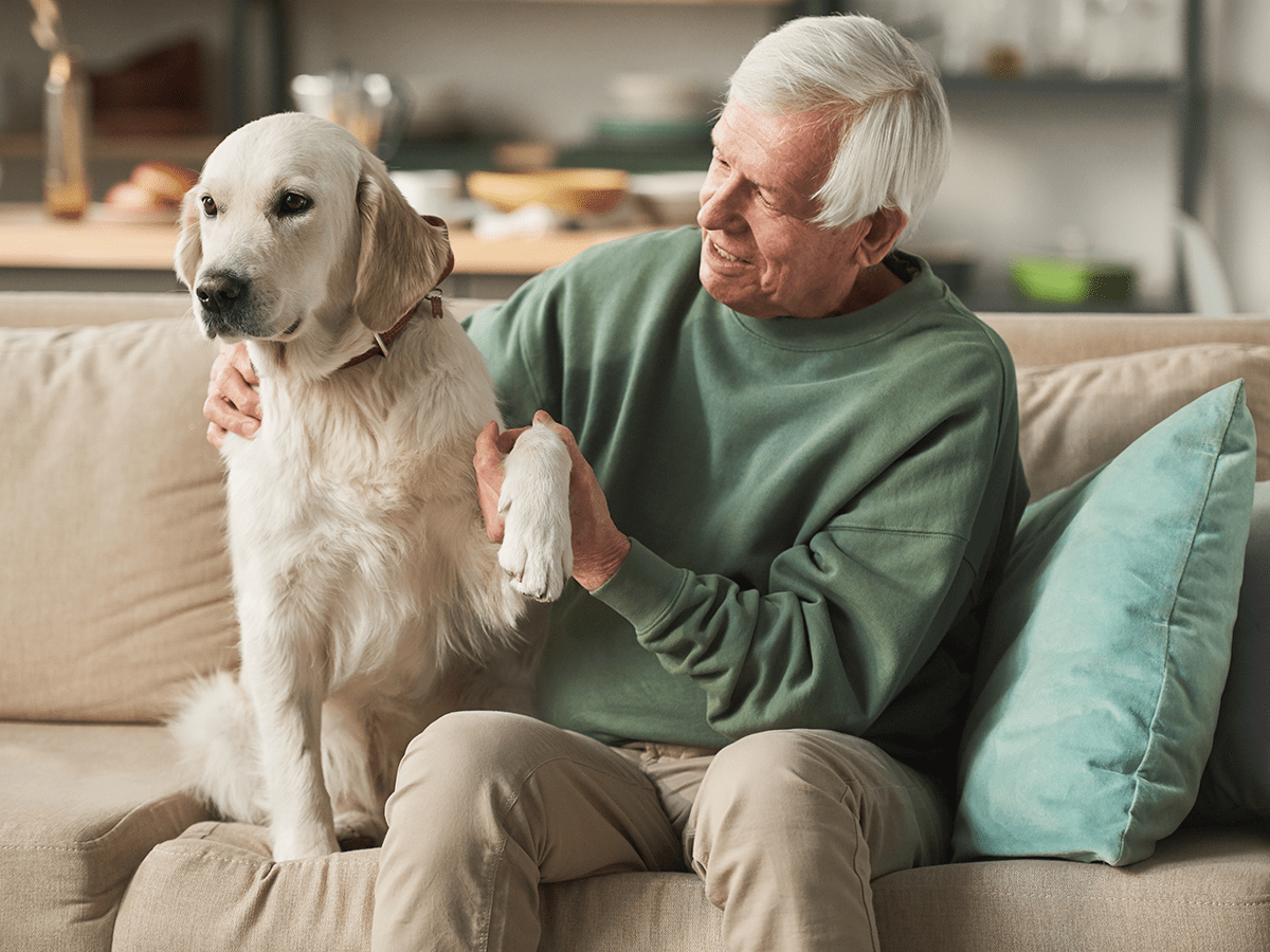 The Best Dogs for Seniors Reader's Digest Canada