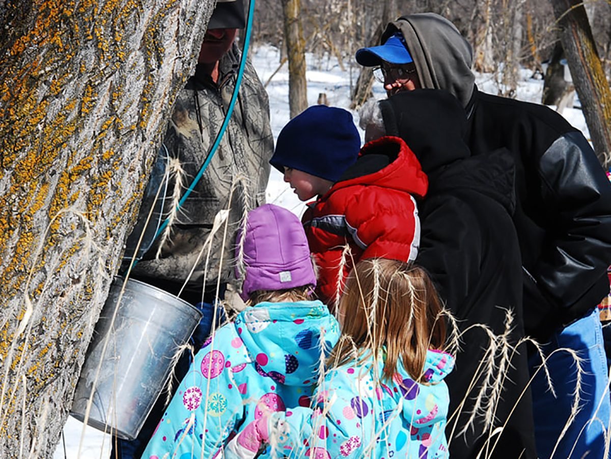 11 Unique Maple Syrup Farms Across Canada Readers Digest 4532