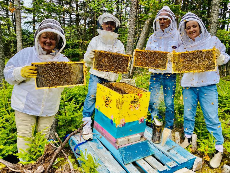 Honey Farms Worth Visiting This Summer | Reader's Digest Canada