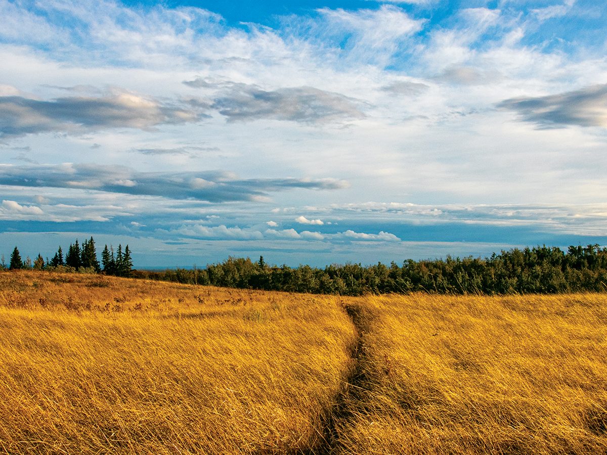 Kleskun Hill Natural Area A True Hidden Gem of Alberta Our Canada