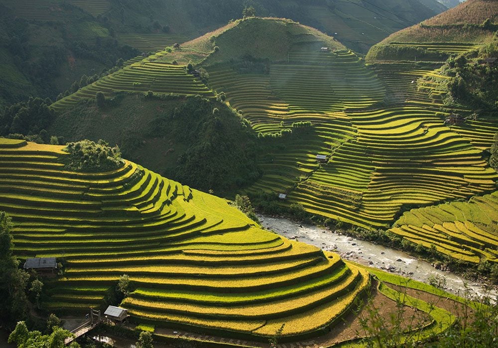 Ifugao Rice Terraces, Philippines