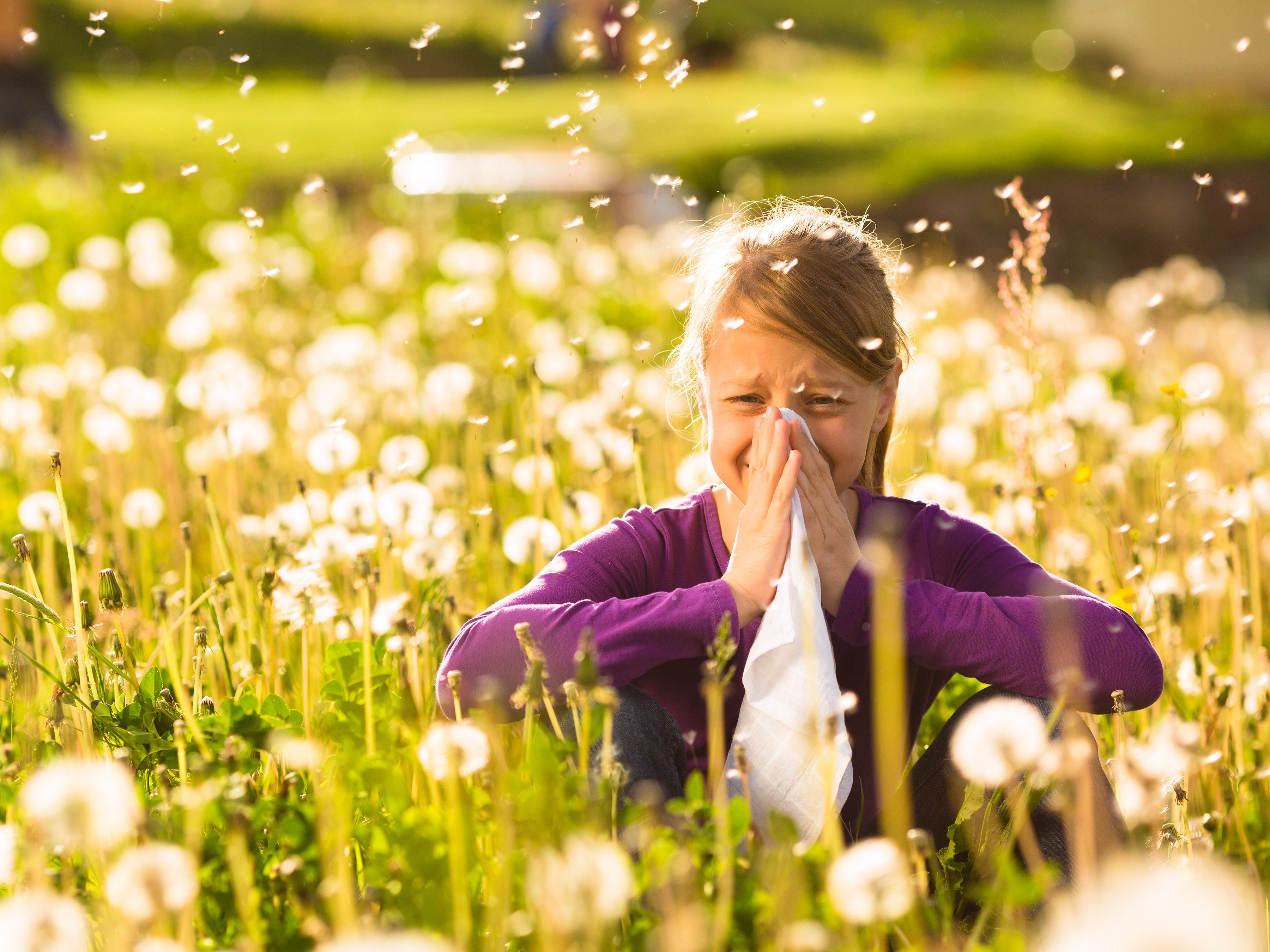 Hay to How Symptoms Fever Handle