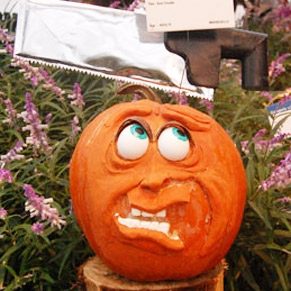 Disguise a Pumpkin This Halloween