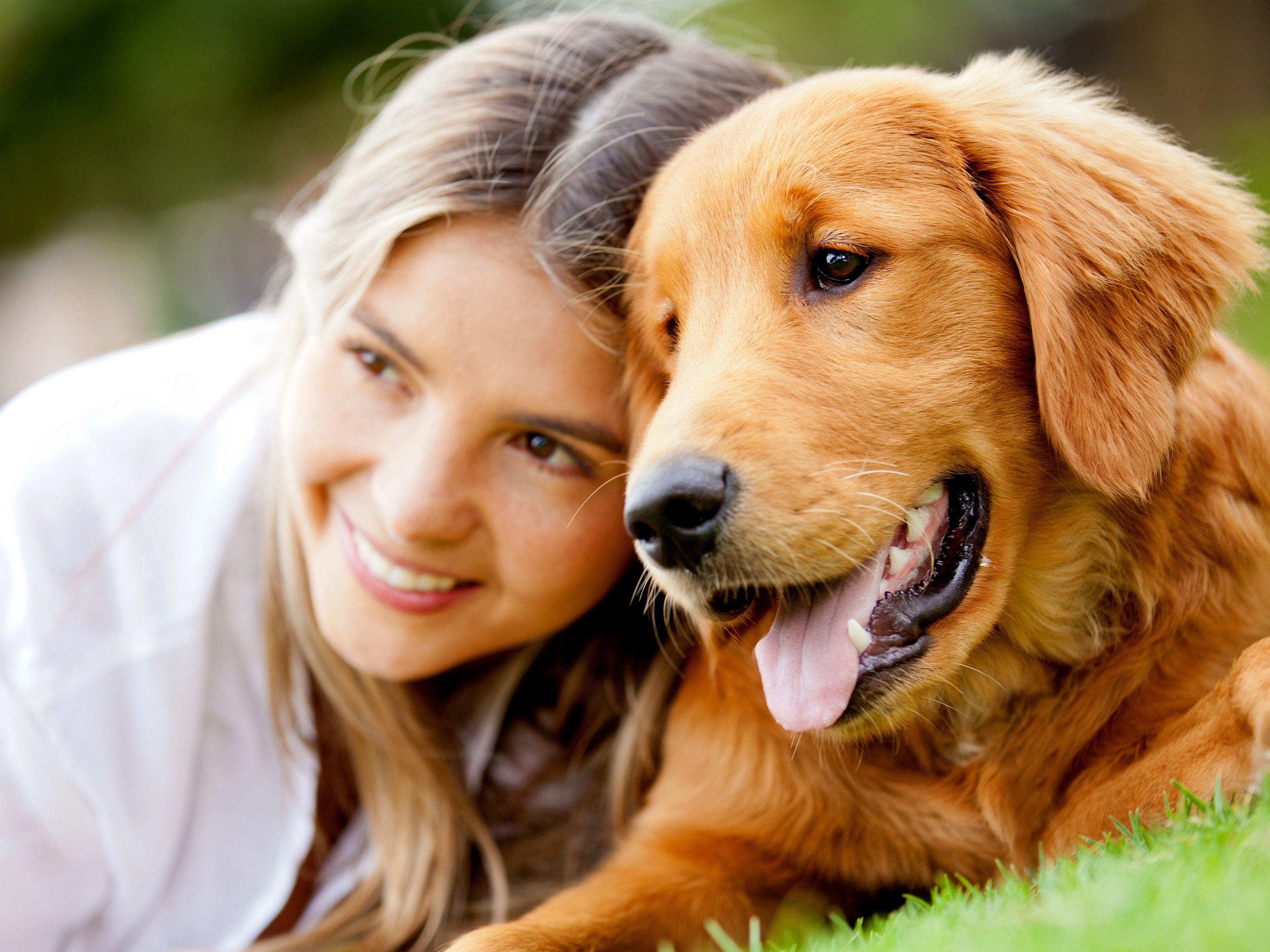 essential-dog-and-cat-vaccinations