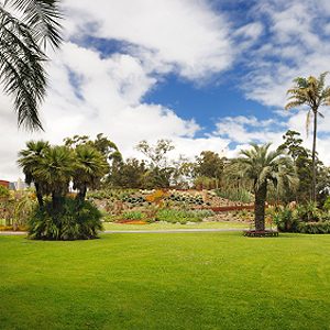 Royal botanic gardens & domain