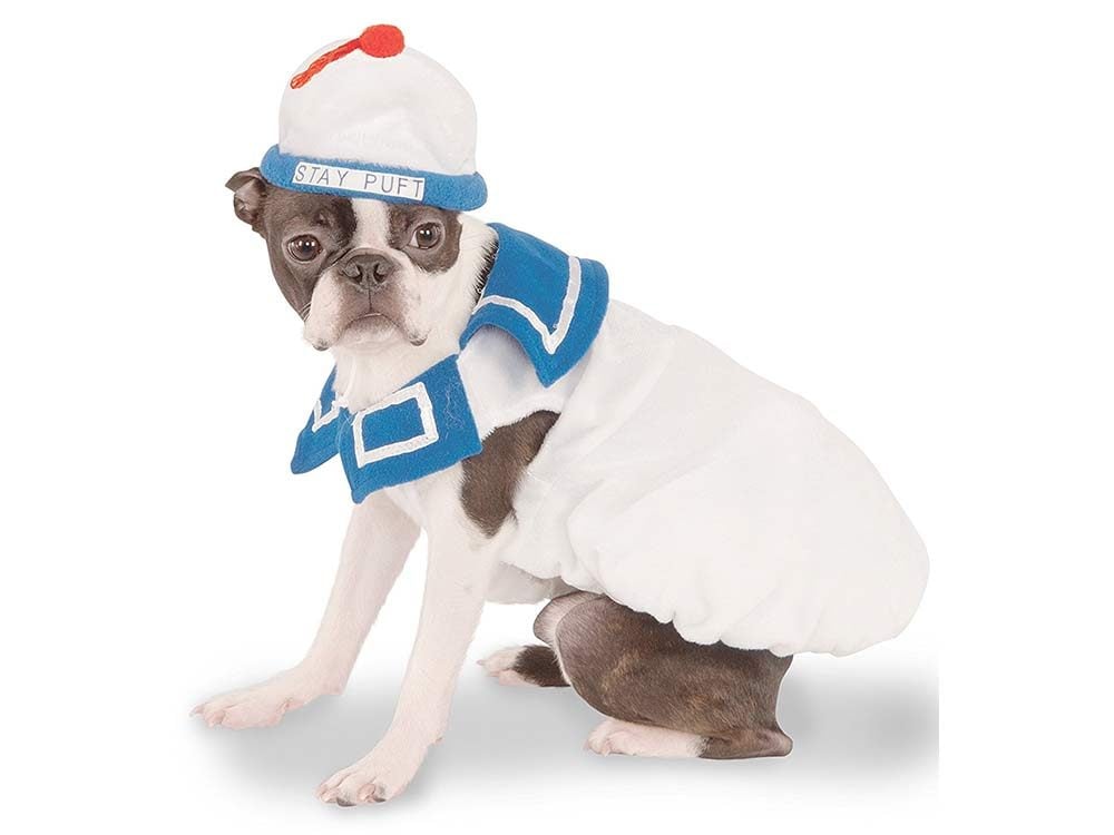 13 of the Best Halloween Costumes for Dogs | Reader's Digest