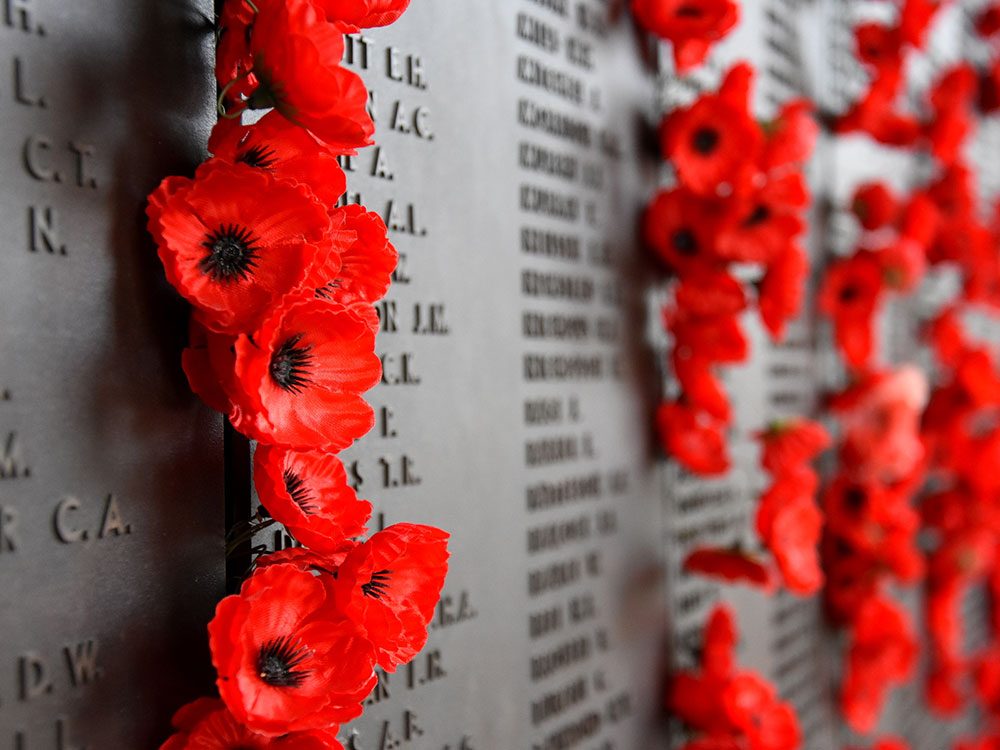 Flanders field remembrance day