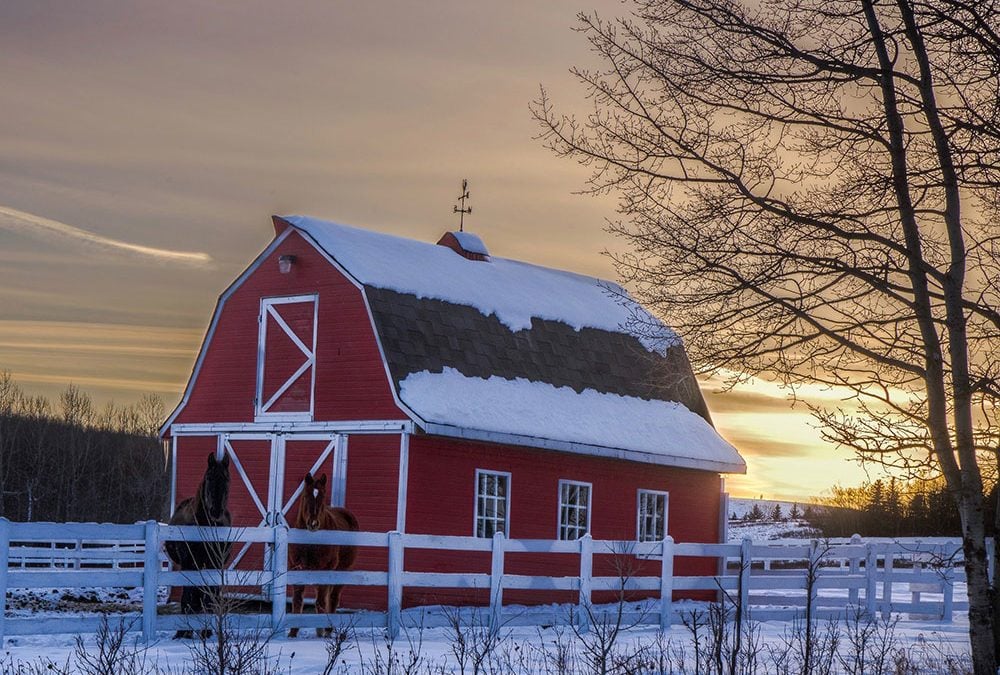 Canada S Most Beautiful Barns A Gallery Of Original Barn Photography