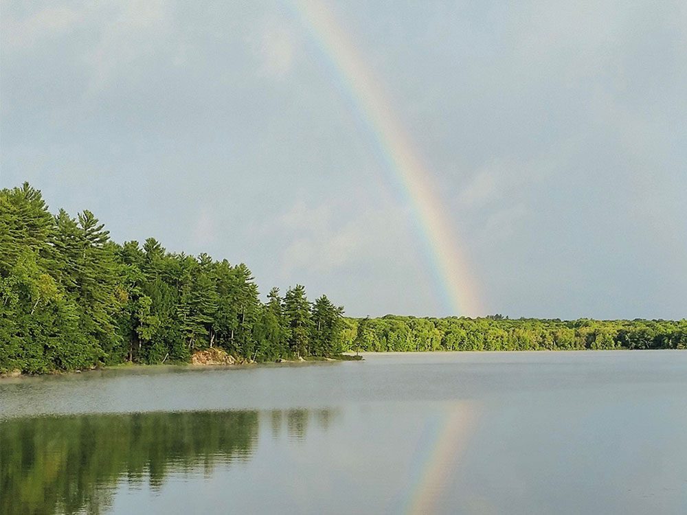 in-full-bloom-5-stunning-shots-of-spring-in-canada