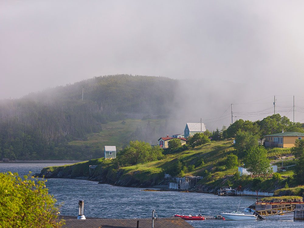 The Fascinating Origins of the Unique Language of Newfoundland