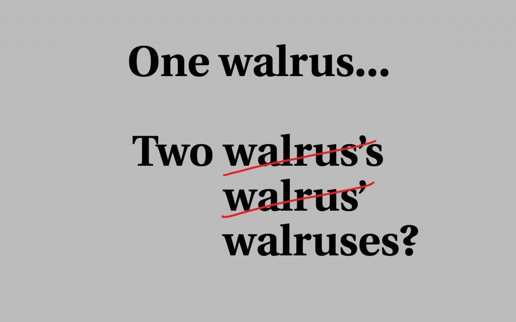 how-to-pluralize-words-and-names-that-end-with-s-reader-s-digest